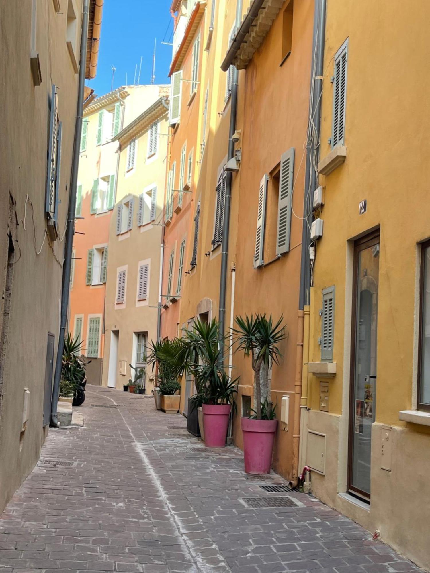 Le Palmae, Serenite Et Charme En Coeur De Ville Ιέρ Εξωτερικό φωτογραφία